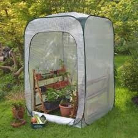 Pop up Greenhouse Pop up Greenhouse